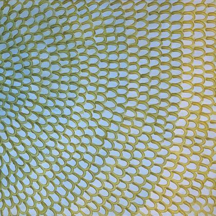 Zahrada č. 13 (Květ/Vodní hladina), 2025