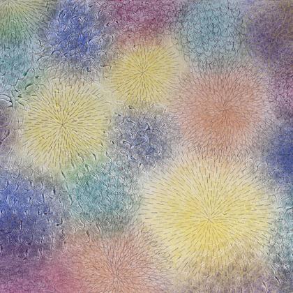 Zahrada č. 9 (Kontrasty), 2025